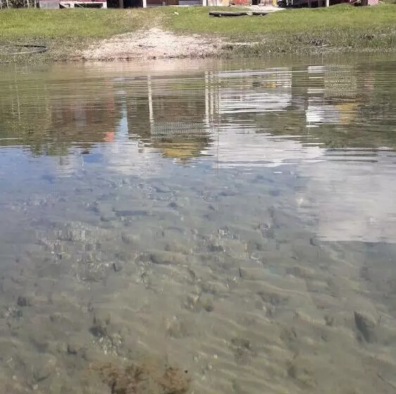 Hotelli Cabanas Islas De Tziscao