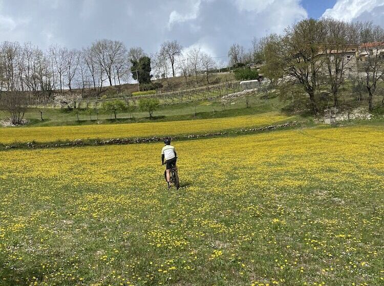 호텔 Albergo Mingone