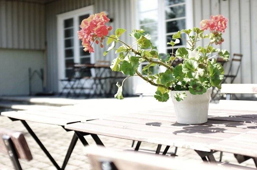 בית מלון כפרי Nidaros Pilegrimsgård