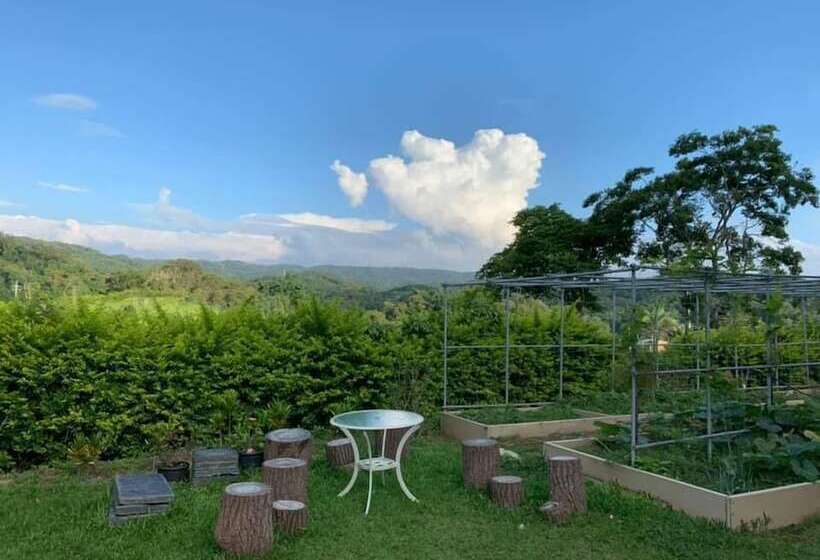 هتل Thomas Villas