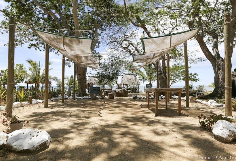 Hôtel Vatia Beach Eco Lodge   Hostel