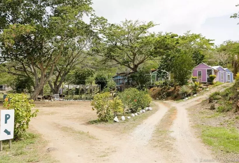 Hotelli Vatia Beach Eco Lodge   Hostel