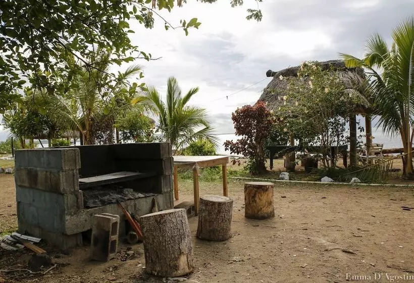 Hotelli Vatia Beach Eco Lodge   Hostel