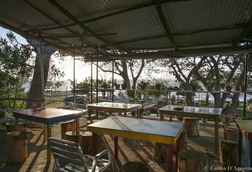 Hotelli Vatia Beach Eco Lodge   Hostel