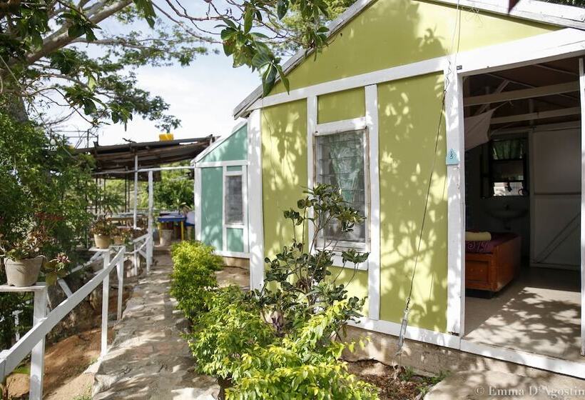 Hôtel Vatia Beach Eco Lodge   Hostel