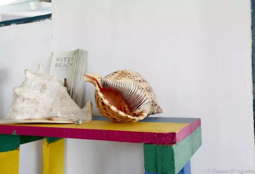 Hotelli Vatia Beach Eco Lodge   Hostel