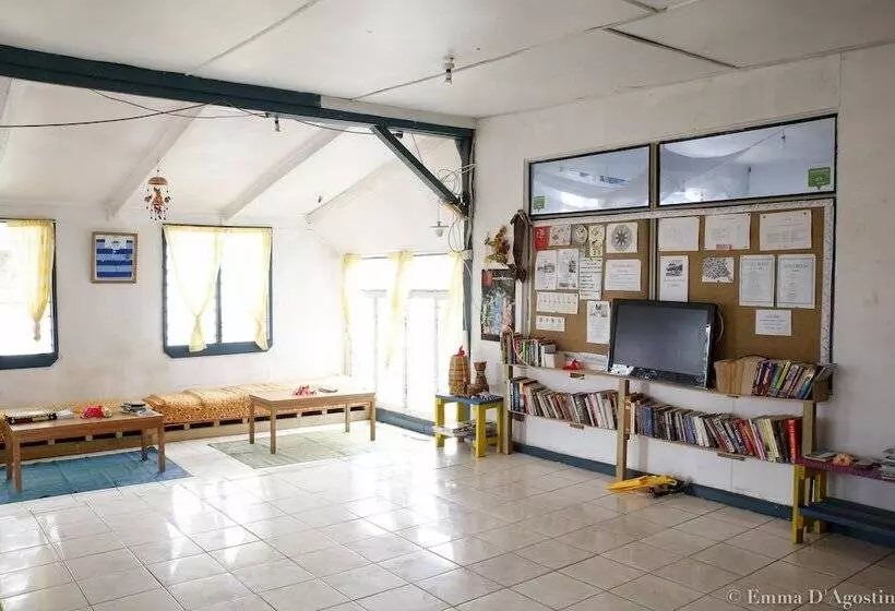 Hotelli Vatia Beach Eco Lodge   Hostel