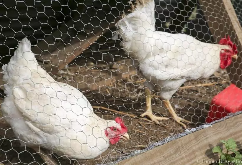 Hotelli Vatia Beach Eco Lodge   Hostel