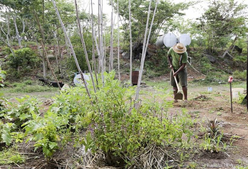 Hôtel Vatia Beach Eco Lodge   Hostel
