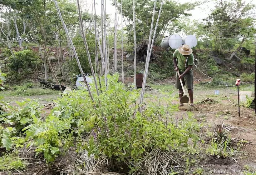 Hotelli Vatia Beach Eco Lodge   Hostel