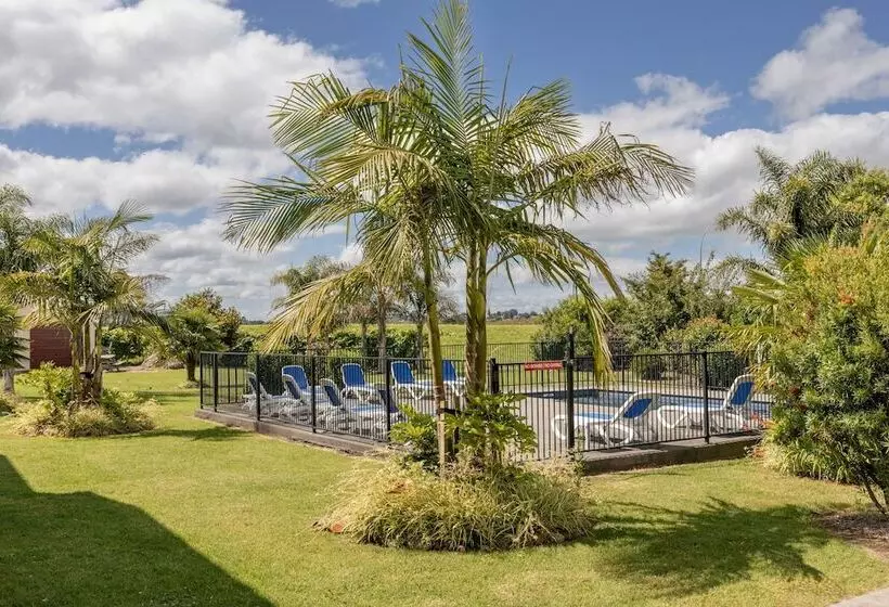 Avalon Motel Thames   Wenzel Motels