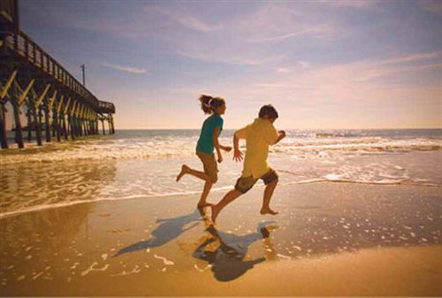 فندق Carolina Grande