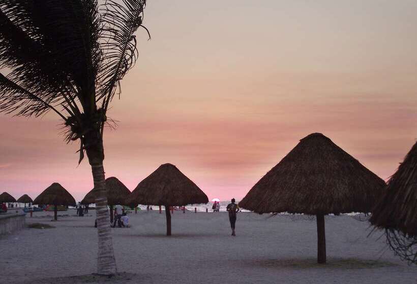 酒店 Courtyard By Marriott Ciudad Del Carmen Campeche