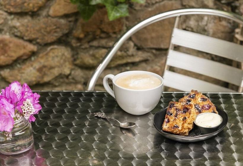 Отель Oakhurst Inn At The University