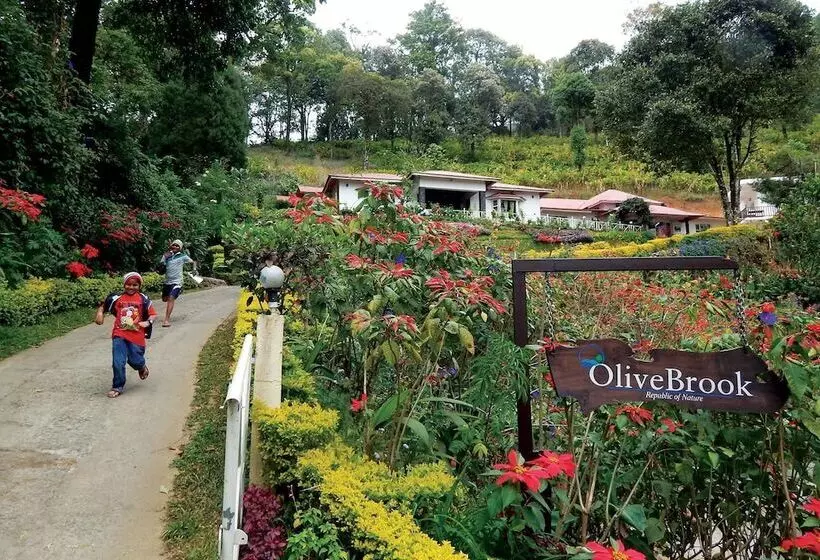 Hotel Olivebrook