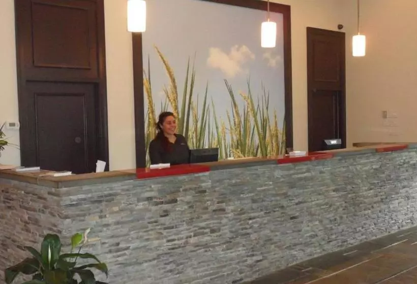 Otel Ramada By Wyndham Rock Hill At Sullivan Center