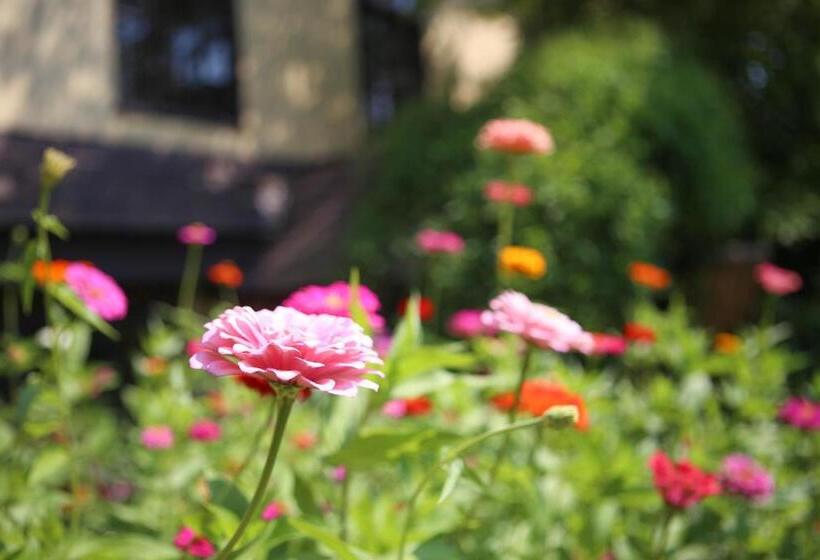 فندق Settlers Inn