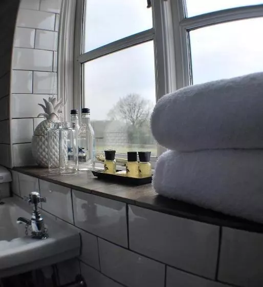 בית מלון כפרי The Bowl Inn