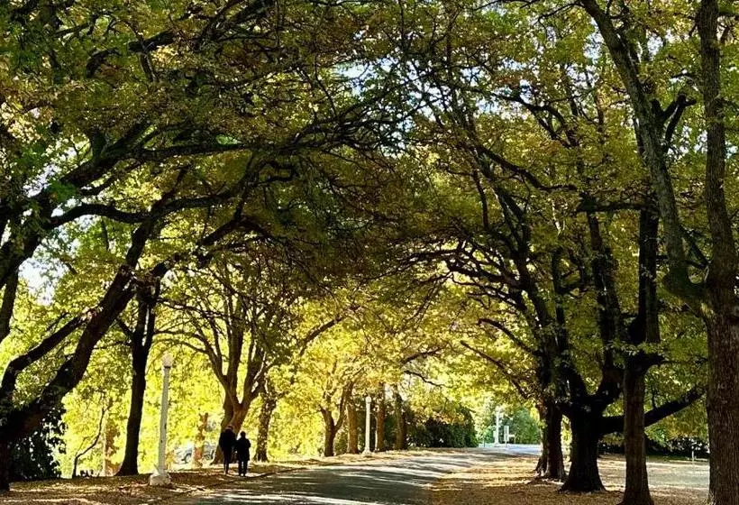 ホテル The Grand Oaks