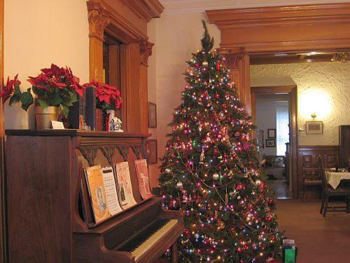 Olde Judge Mansion B&b