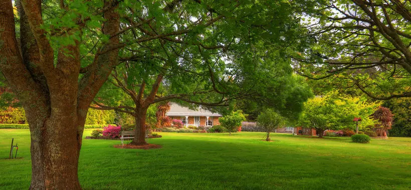 Rosebank Cottage Collection