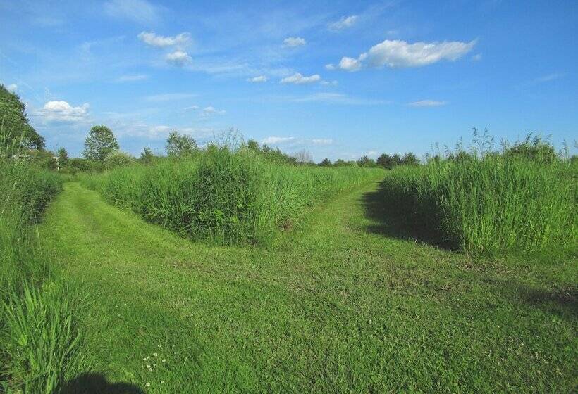 Saratoga Farmstead B&b