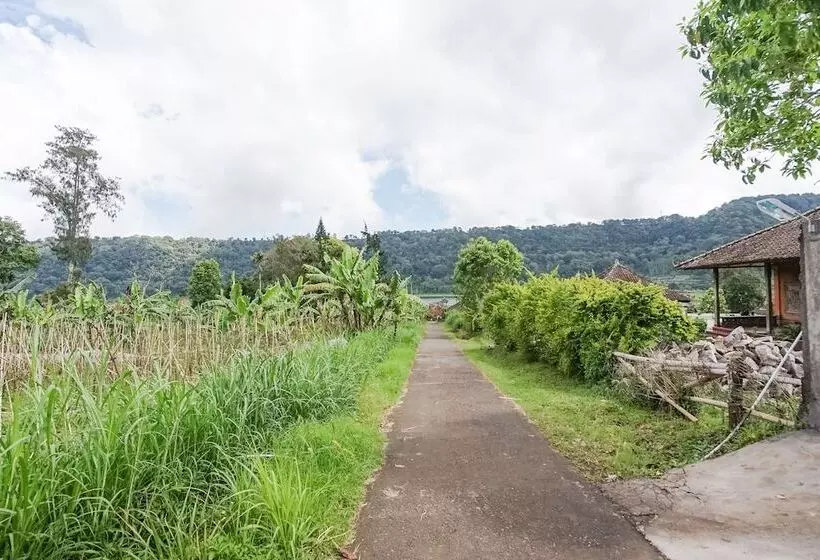 ホテル Container Smart Stay