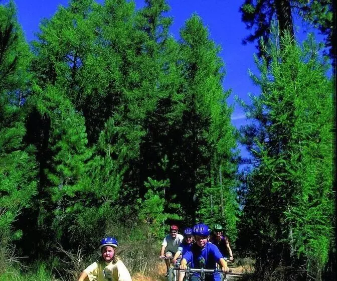 Bed and Breakfast Cheltenham House