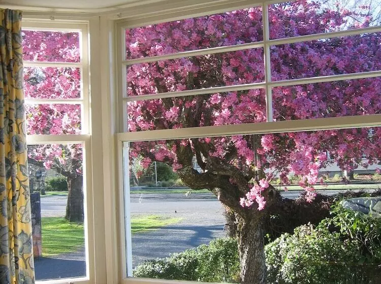 Bed and Breakfast Cheltenham House