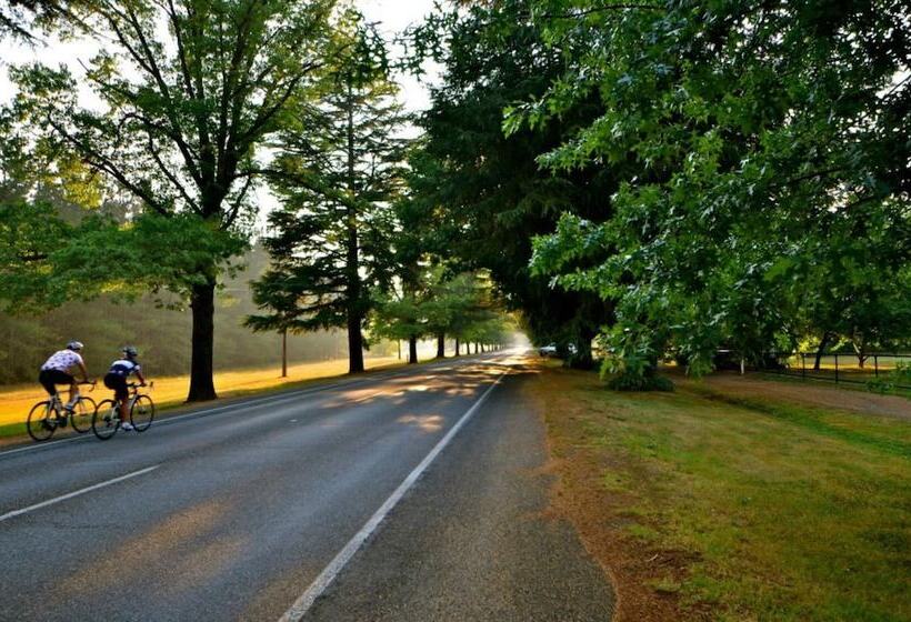 Chestnut Tree Holiday Units