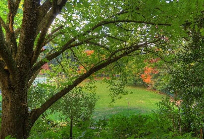 Chestnut Tree Holiday Units