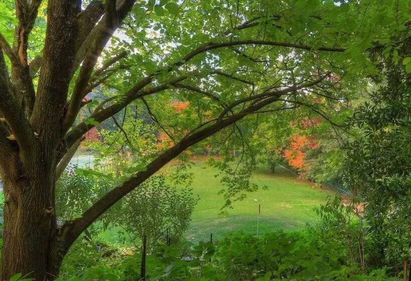 Chestnut Tree Holiday Units