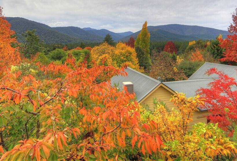 Chestnut Tree Holiday Units