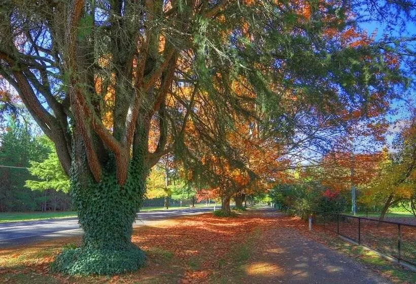 Chestnut Tree Holiday Units