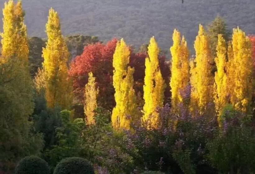 Chestnut Tree Holiday Units