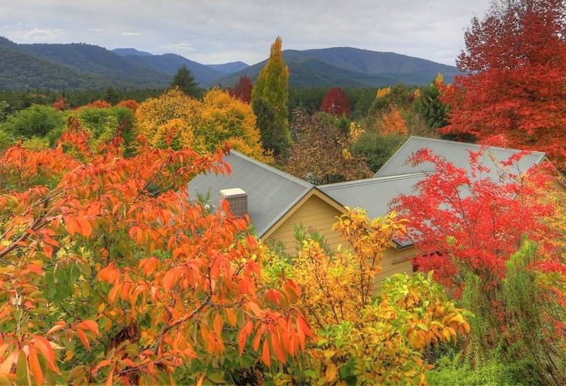 Chestnut Tree Holiday Units