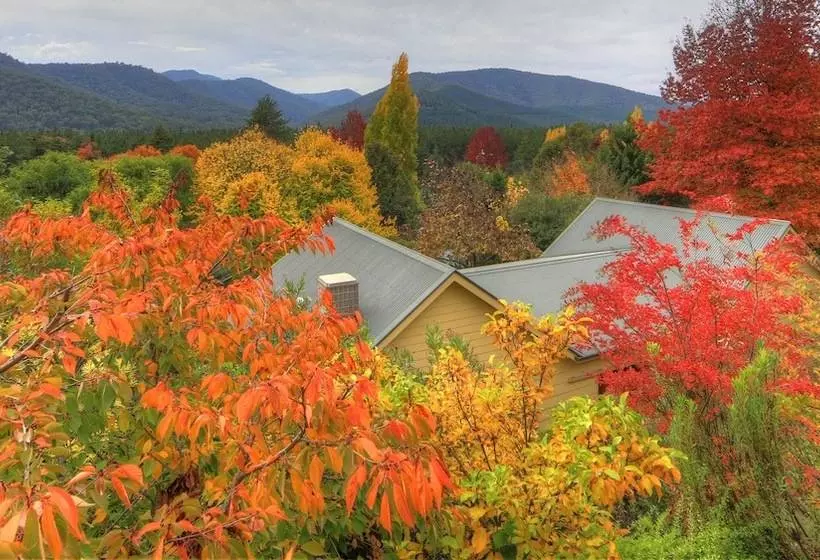 Chestnut Tree Holiday Units