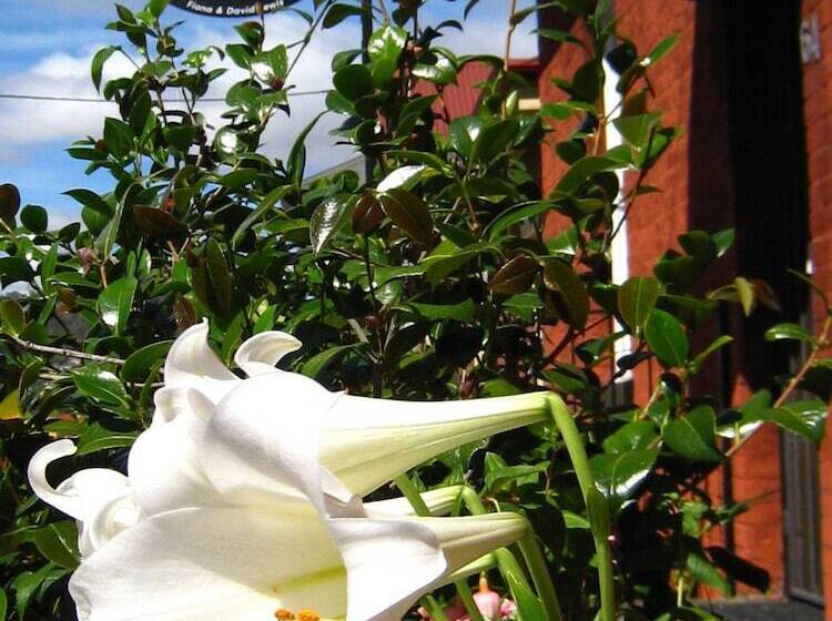 Hi George Bed & Breakfast