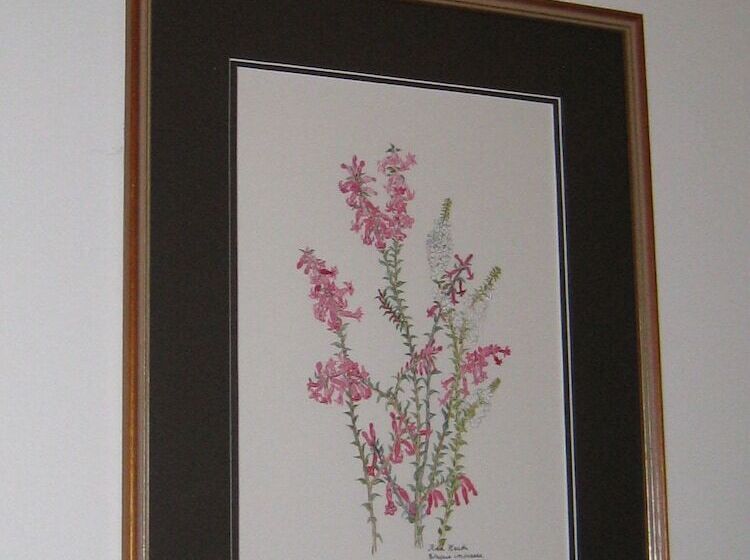 Hi George Bed & Breakfast