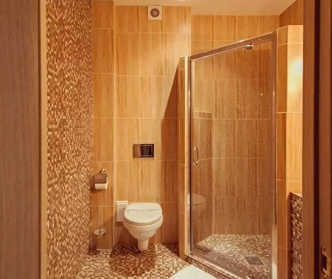 هتل Ambassador Plaza