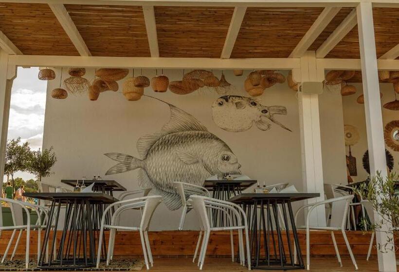 酒店 Green Life Beach Resort Sozopol