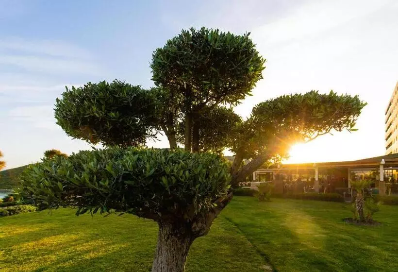 هتل La Blanche Island Bodrum