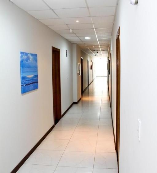 酒店 Miotto Executive