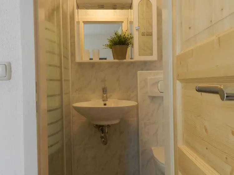 ホテル Pension Und Appartements Hartkaiser