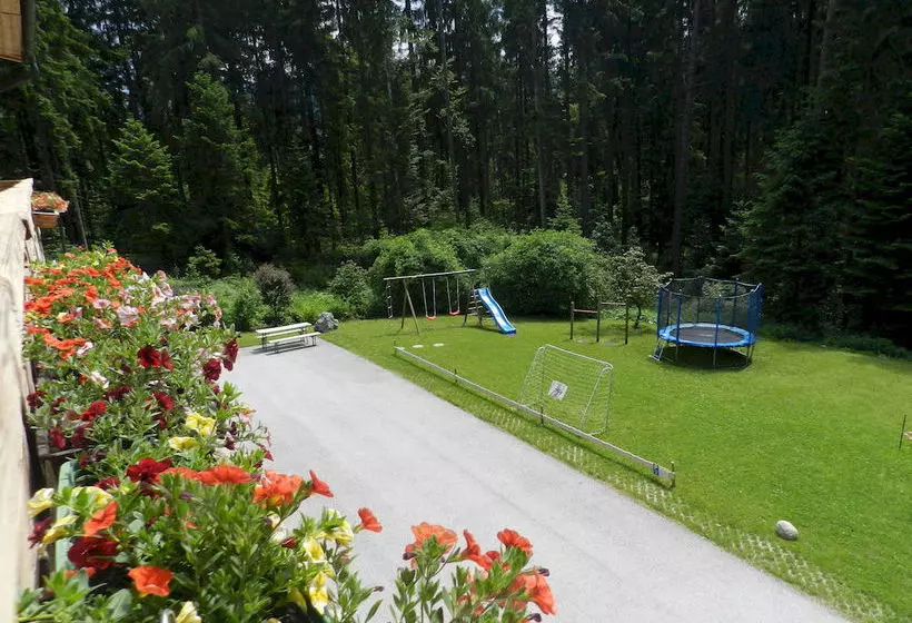 ホテル Pension Und Appartements Hartkaiser