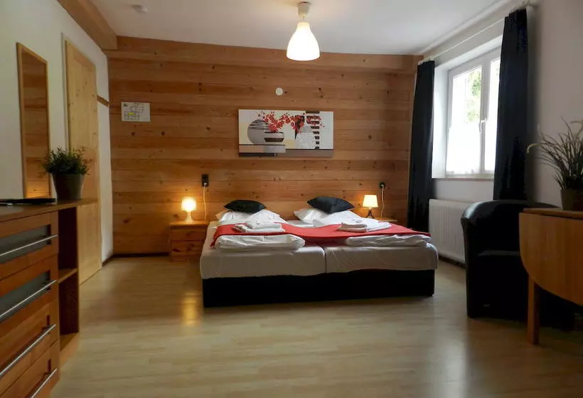 ホテル Pension Und Appartements Hartkaiser