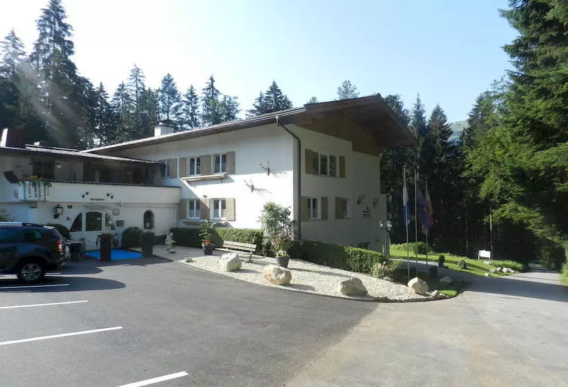 ホテル Pension Und Appartements Hartkaiser