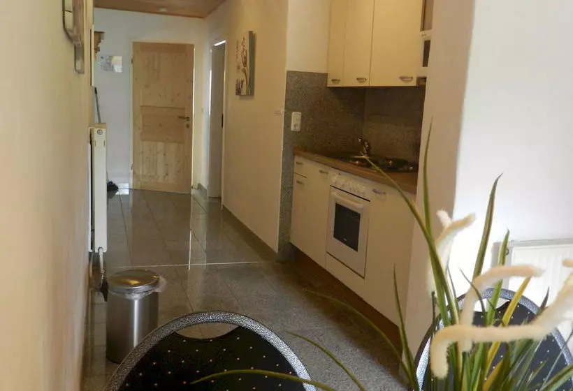 ホテル Pension Und Appartements Hartkaiser
