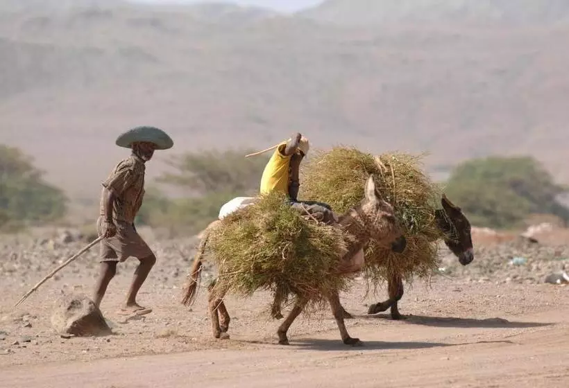 هتل Spinguera Ecolodge