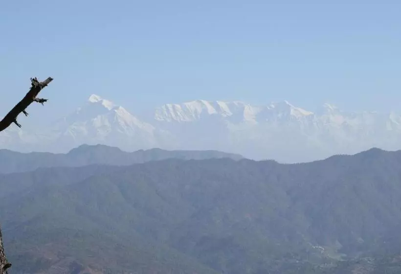 Отель Woodsvilla Resort